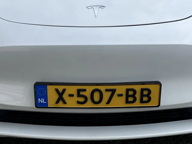 Tesla Model Y Performance AWD 75 kWh 2023 Elektrisch 35