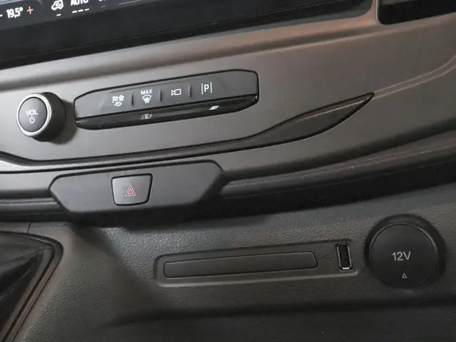 Ford Transit 290 2.0 TDCI L2H2 Trend 2024 Diesel 21