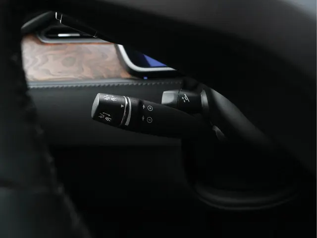 Tesla Model X 100D AWD [ 3-Fase ] 2018 Elektrisch 21