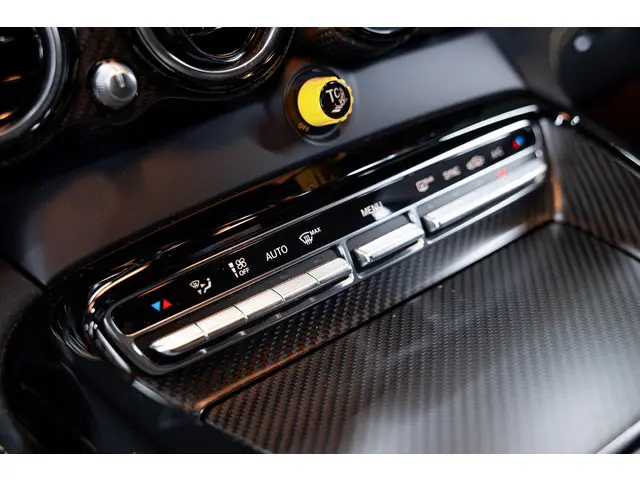 Mercedes-Benz AMG GT 4.0 R 2019 Benzine 28