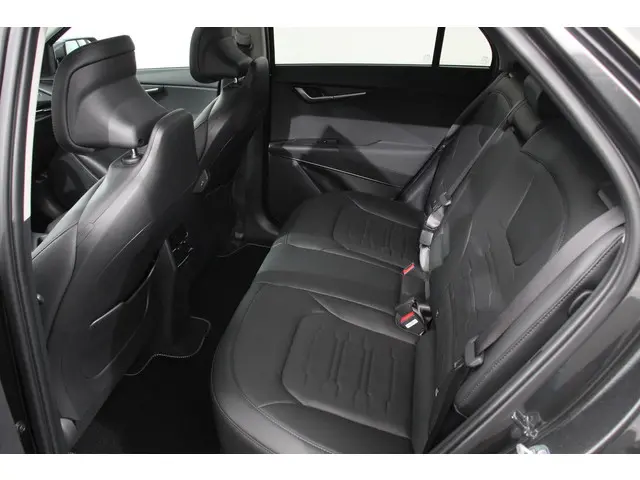 Kia Niro EV DynamicPlusLine 64.8 kWh 2024 Elektrisch 8