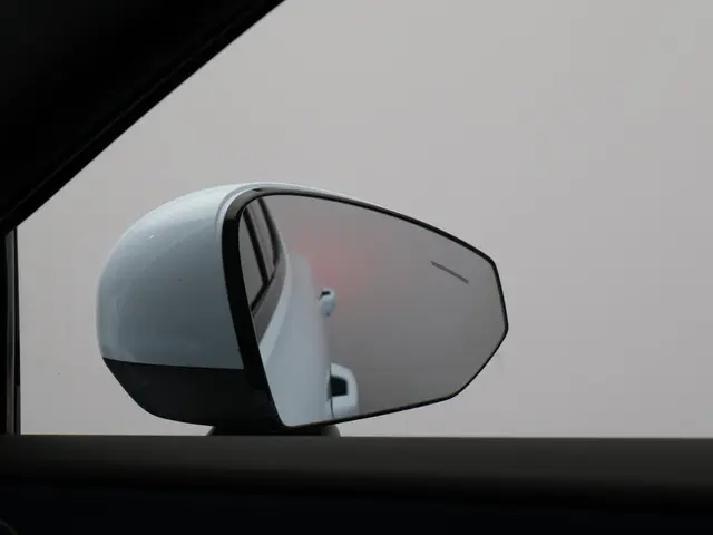 Volvo EX30 Single Motor Core 51 kWh 2024 Elektrisch 19