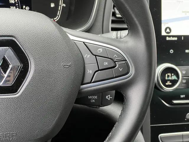 Renault Mégane 1.3 TCe 140 EDC Intens 2022 Benzine 24