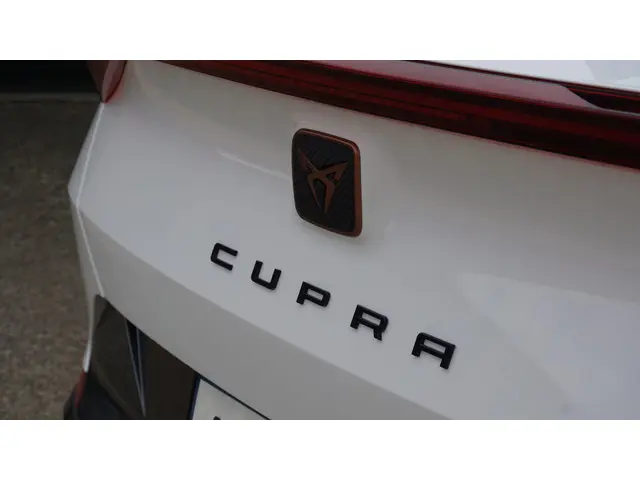 CUPRA Formentor 1.4 e-Hybrid 204pk 2021 Hybride Benzine 73
