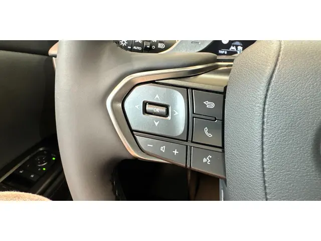 Lexus RZ 300e Business Line 71 kWh 2025 Elektrisch 14