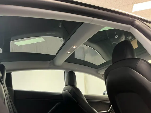Tesla Model 3 Performance AWD 75 kWh 2019 Elektrisch 26