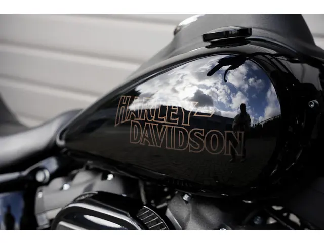 Harley-Davidson Low Rider 114 FXLR S 2020 Benzine 7
