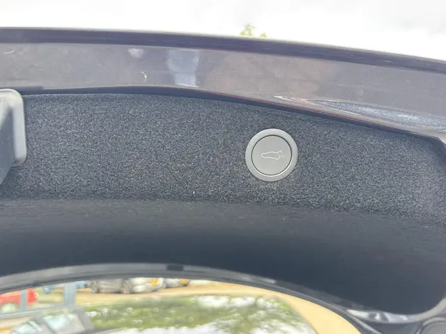 Tesla Model 3 RWD 60 kWh 2024 Elektrisch 6
