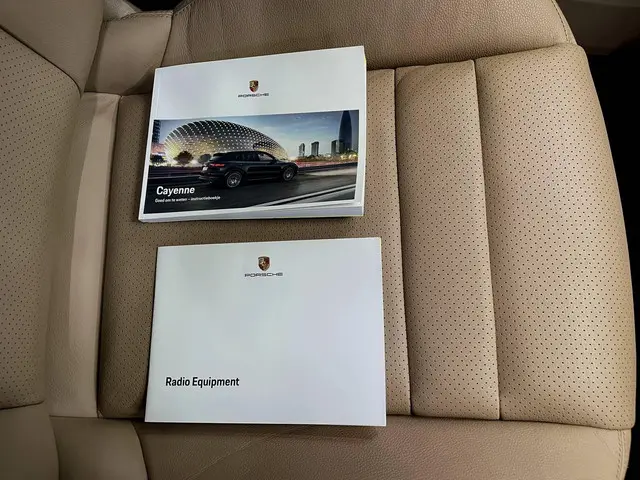 Porsche Cayenne 3.0 E-Hybrid 2021 Hybride Benzine 24