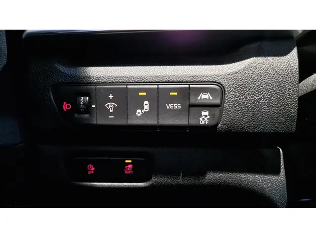 Kia e-Niro ExecutiveLine 64 kWh 2020 Elektrisch 21