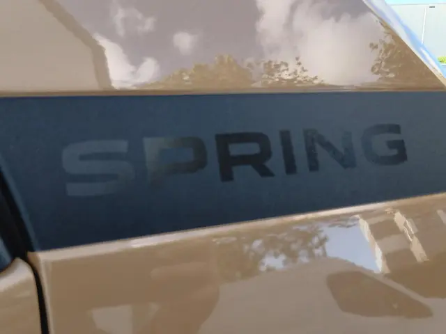 Dacia Spring Extreme 65 26.8 kWh 2024 Elektrisch 36