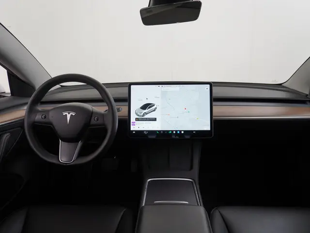 Tesla Model 3 Standard RWD Plus 60 kWh 2021 Elektrisch 23
