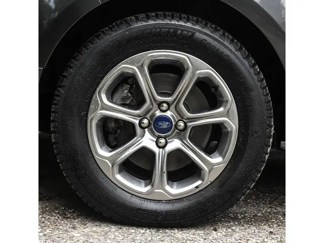 Ford EcoSport 1.0 Ti-VCT Titanium 2020 Benzine 5