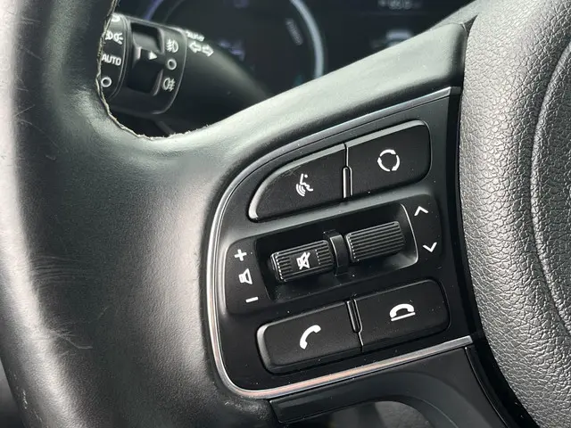 Kia e-Niro ExecutiveLine 64 kWh 2020 Elektrisch 14
