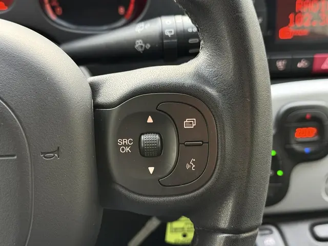 Fiat Panda 1.2 City Cross 2019 Benzine 16