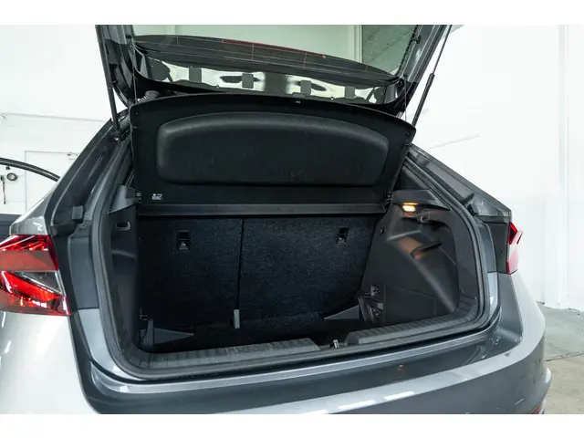 Škoda Fabia 1.0 TSI Monte Carlo 2022 Benzine 13