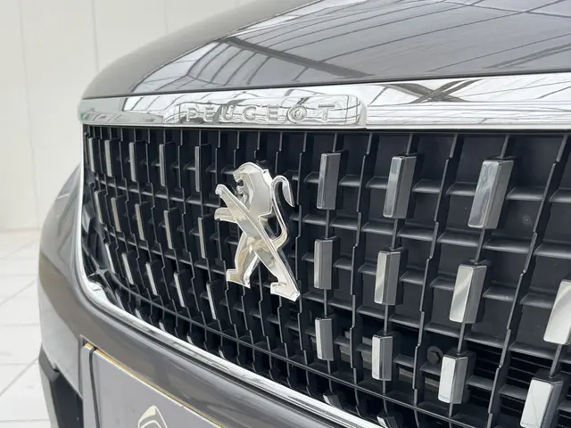 Peugeot 2008 PureTech 110 EAT6 Signature 2019 Benzine 27