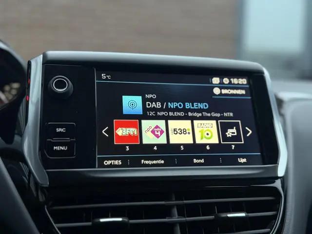 Peugeot 208 1.2 PureTech Blue Lion 2018 Benzine 9