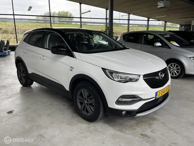 Opel Grandland X 1.2 Turbo Business Edition 2020 Benzine 5