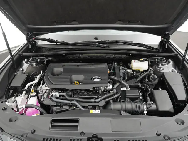 Lexus ES 300h Business Line 2023 Hybride Benzine 24