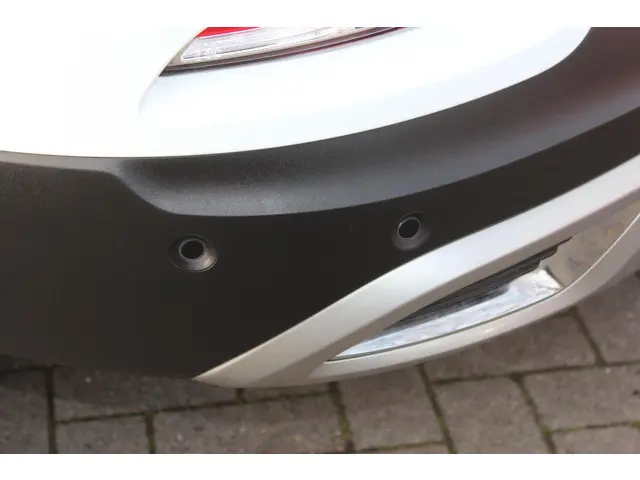 Renault Kadjar 1.3 TCe Intens 2020 Benzine 25