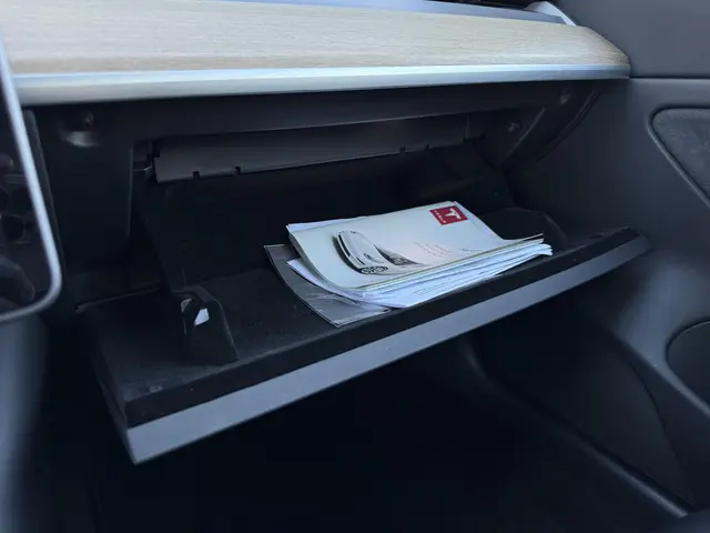 Tesla Model 3 Long Range AWD 75 kWh 2019 Elektrisch 25