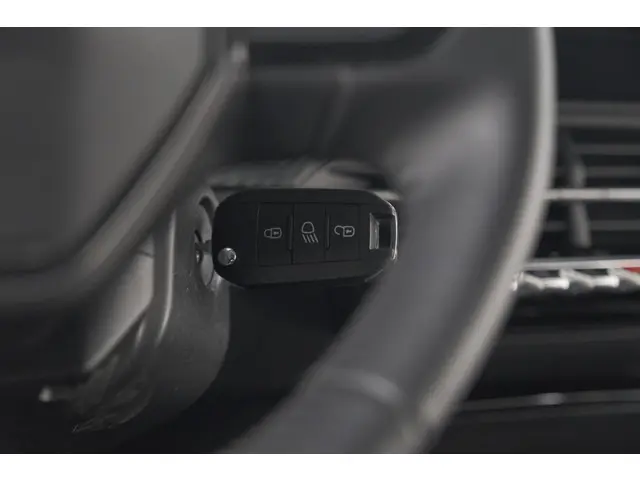 Peugeot 208 PureTech 100 Active 2024 Benzine 15