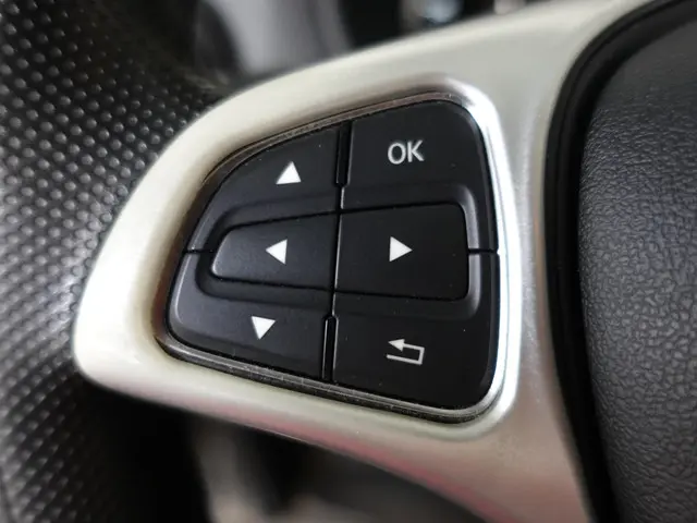 Mercedes-Benz Vito 114 CDI Lang Automaat 2020 Diesel 18
