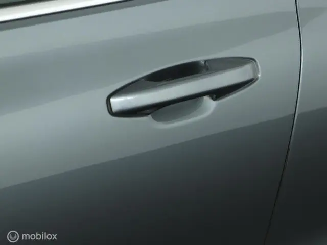 Volvo V60 2.0 T4 Inscription 2019 LPG/Gas 37