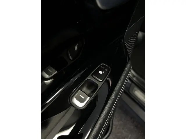 Kia e-Niro ExecutiveLine 64 kWh 2021 Elektrisch 33