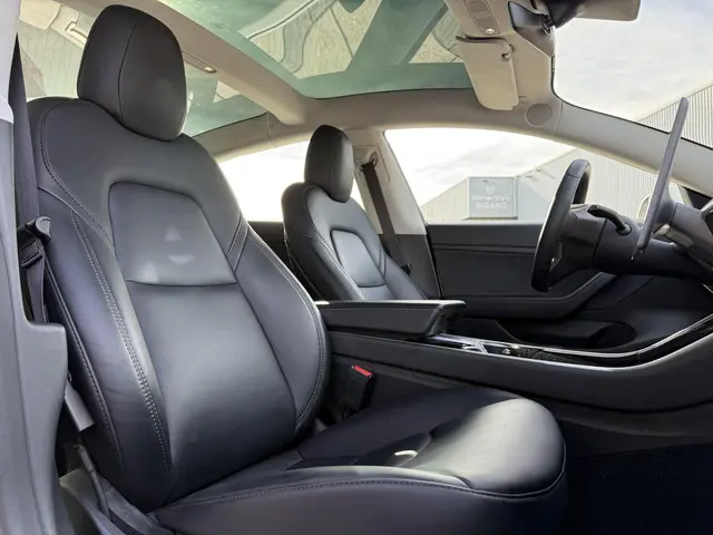 Tesla Model 3 Range Plus 2020 Elektrisch 10