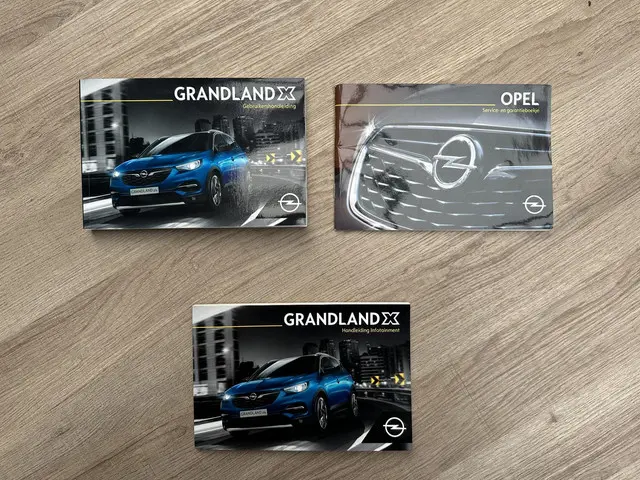 Opel Grandland X 1.2 Turbo Business + 2019 Benzine 15