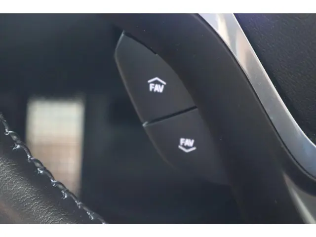Opel Ampera-e Business executive 60 kWh 2020 Elektrisch 24