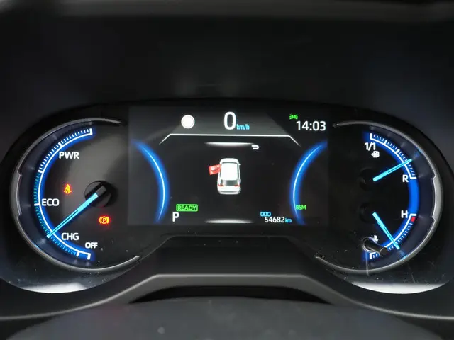 Toyota RAV4 2.5 Hybrid AWD Bi-Tone 2020 Hybride Benzine 20