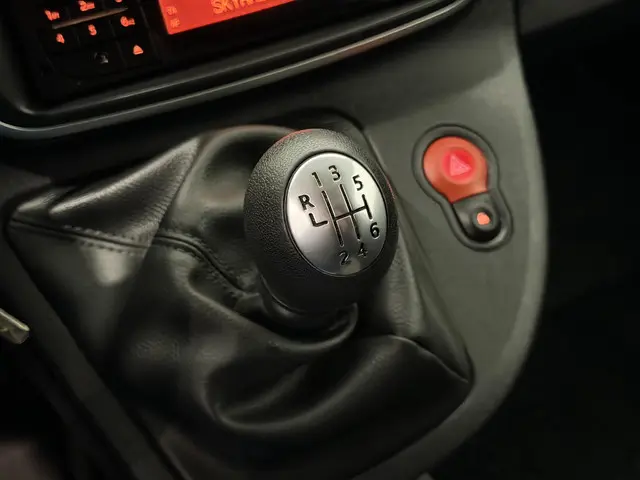 Renault Kangoo 1.5 Blue dCi 95 Work Edition 2020 Diesel 21