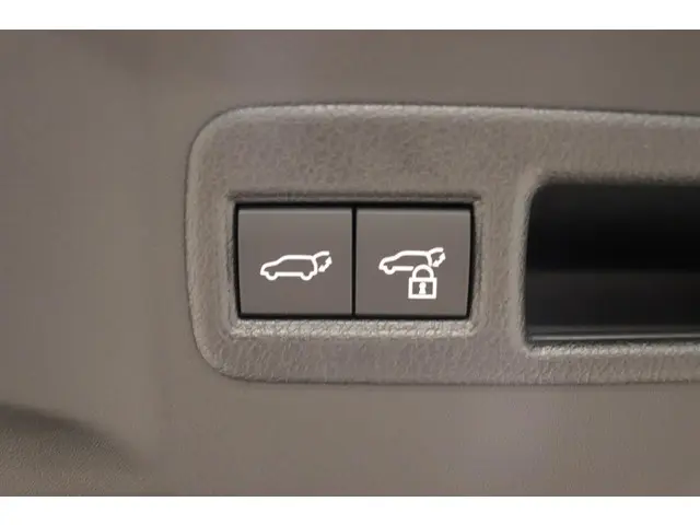 Toyota bZ4X Executive 73 kWh 2025 Elektrisch 6