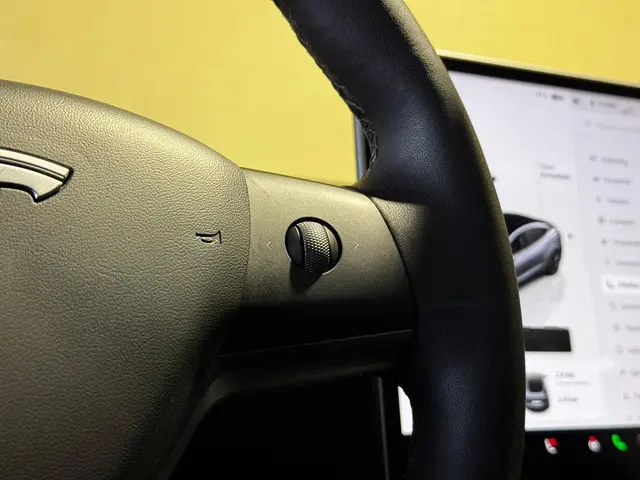 Tesla Model 3 Standard RWD Plus 60 kWh 2022 Elektrisch 27