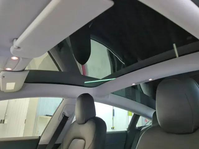 Tesla Model 3 Range Plus 2020 Elektrisch 7