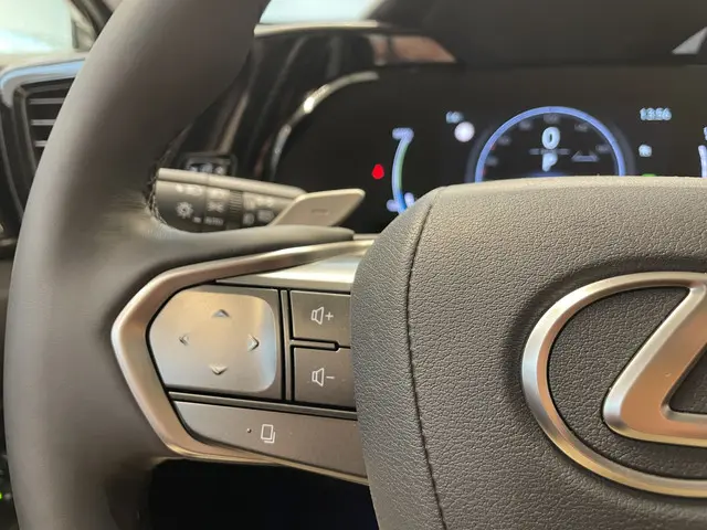 Lexus NX 450h+ AWD Executive Line 2025 Hybride Benzine 12