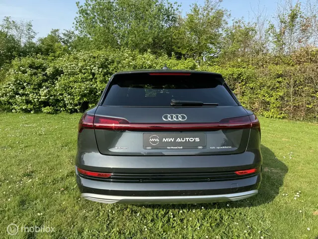 Audi e-tron 55 quattro advanced 95 kWh 2019 Elektrisch 6
