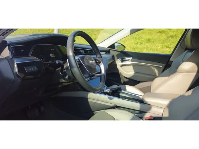 Audi e-tron 50 quattro S edition 71 kWh 2022 Elektrisch 13