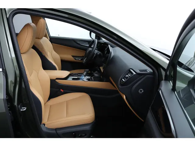 Lexus NX 450h+ AWD Luxury Line 2025 Hybride Benzine 21