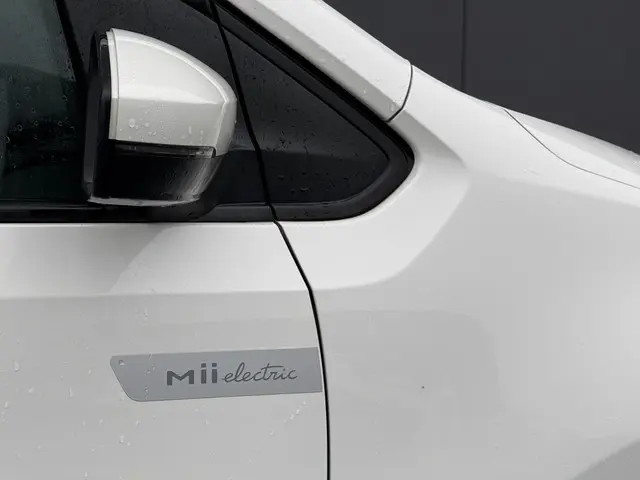 SEAT Mii Electric electric 2020 Elektrisch 25