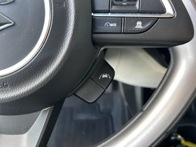 Suzuki Swift 1.2 Style Smart Hybrid 2025 Benzine 14