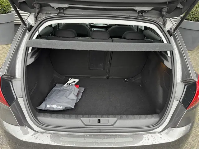 Peugeot 308 1.2 PureTech Blue Lion 2017 Benzine 23