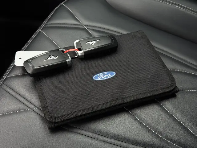 Ford Mustang Mach-E Aut. 75kWh 2021 Elektrisch 29