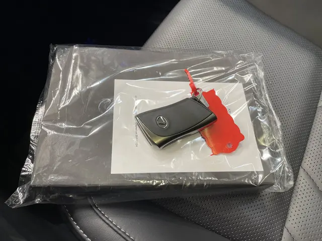 Lexus NX 450h+ AWD Executive Line 2025 Hybride Benzine 26