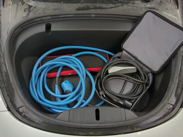 Tesla Model 3 Range Plus 2020 Elektrisch 11