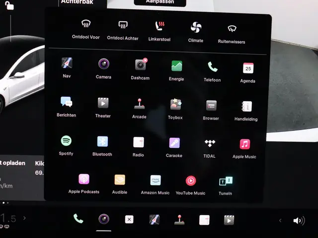 Tesla Model 3 Standard RWD Plus 60 kWh 2020 Elektrisch 22