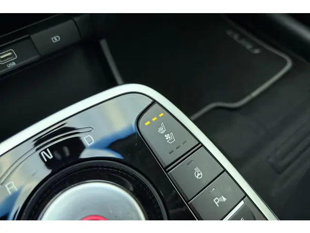 Kia e-Niro ExecutiveLine 64 kWh 2021 Elektrisch 23